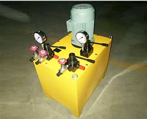杭州非标电动泵生产