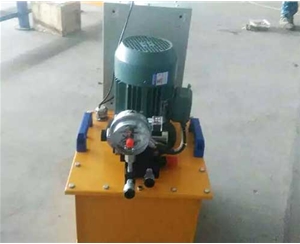 杭州标准电动泵供应生产